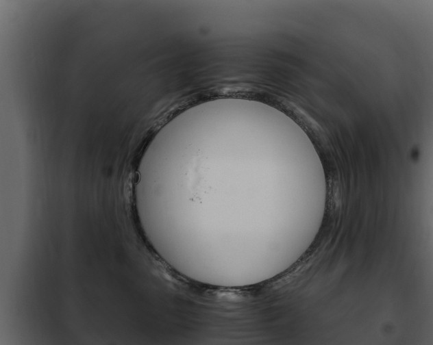 X0000102480475200808081037