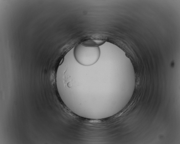 X0000102480478200808081037