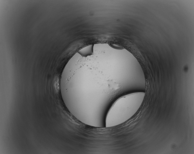 X0000102480479200808081037