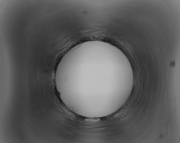 X0000102480480200808081037