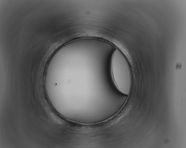 X0000102480481200808081036