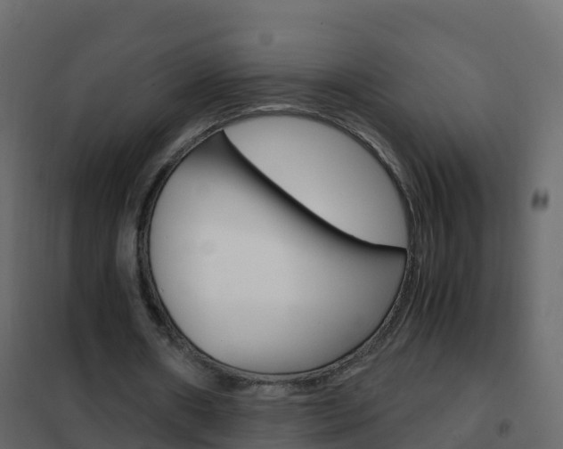 X0000102480482200808081036