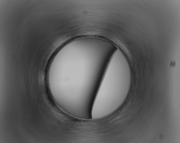 X0000102480483200808081036