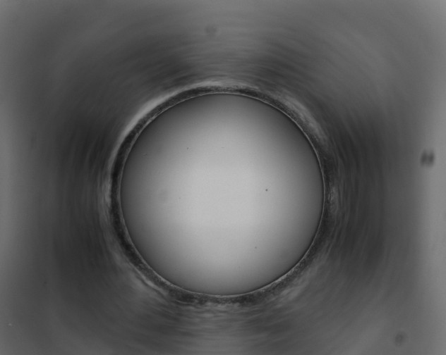 X0000102480484200808081036