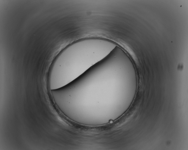 X0000102480485200808081036