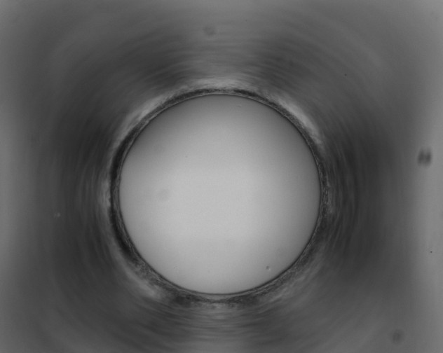 X0000102480486200808081036