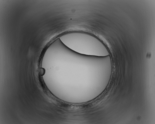 X0000102480487200808081036