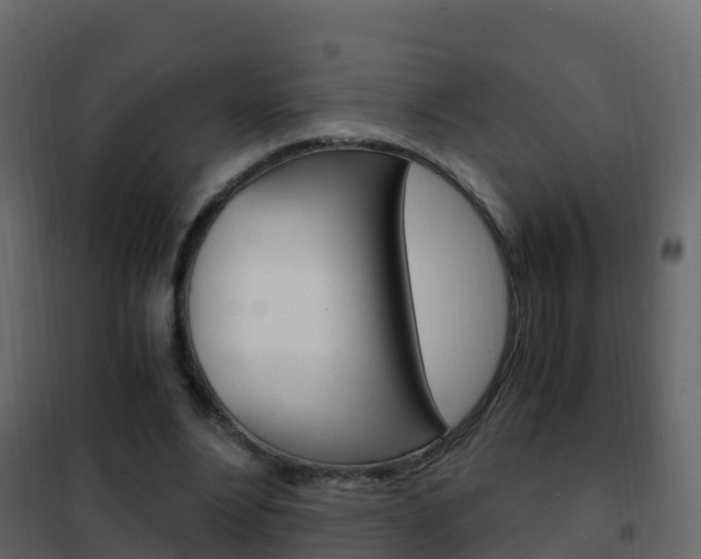 X0000102480488200808081036