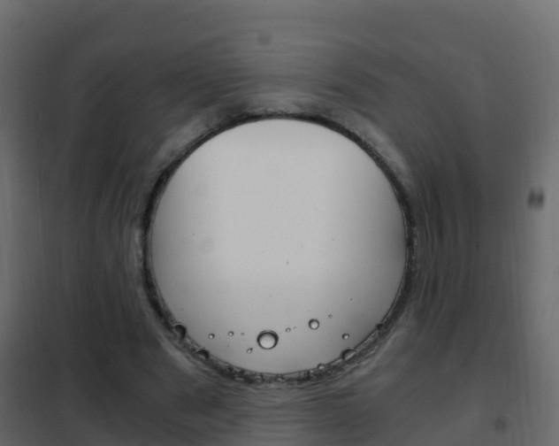 X0000102480489200808081036