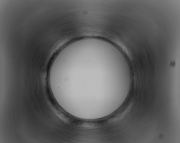 X0000102480490200808081036