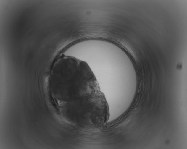 X0000102480491200808081036