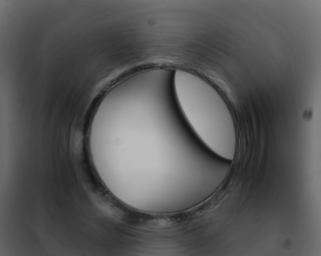 X0000102480492200808081036