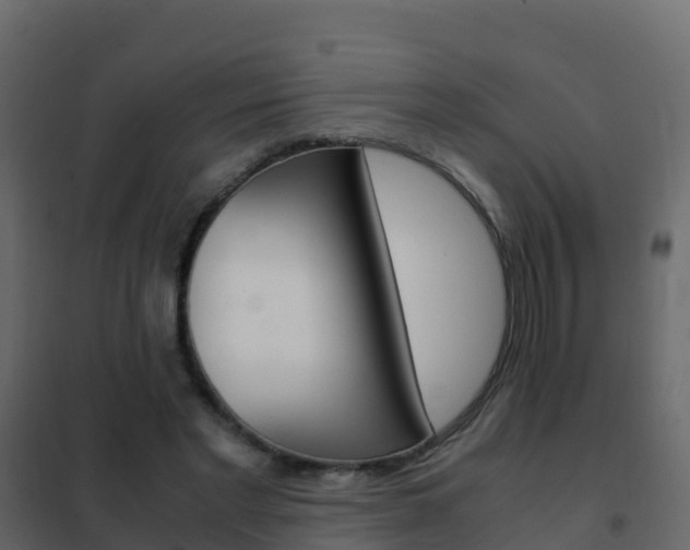 X0000102480493200808081036