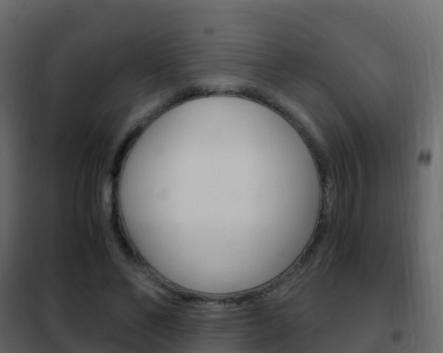 X0000102480494200808081036