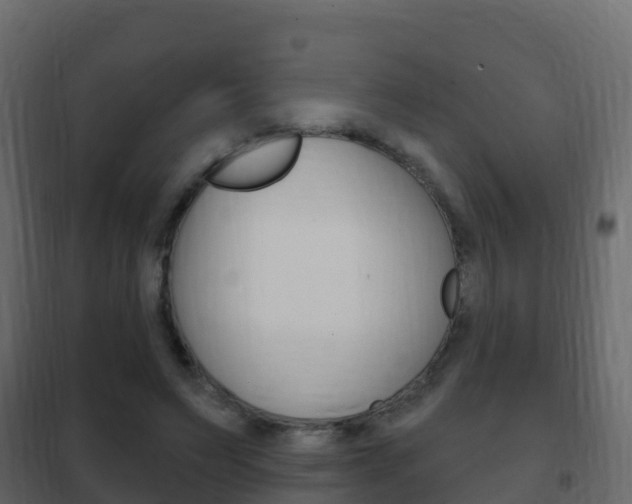 X0000102480495200808081036