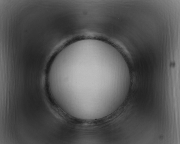 X0000102480496200808081036