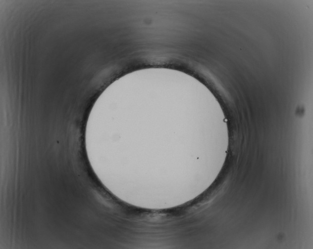 X0000102480497200808081036