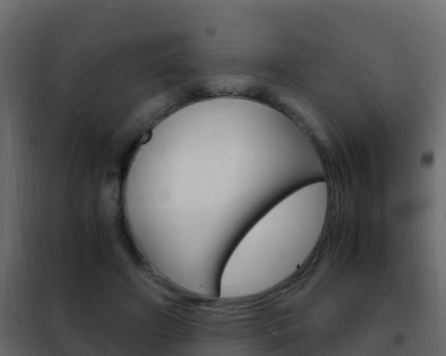 X0000102480498200808081036