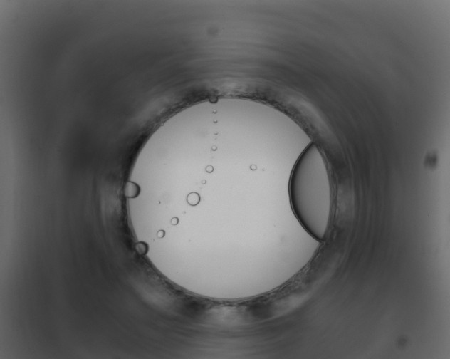 X0000102480499200808081036