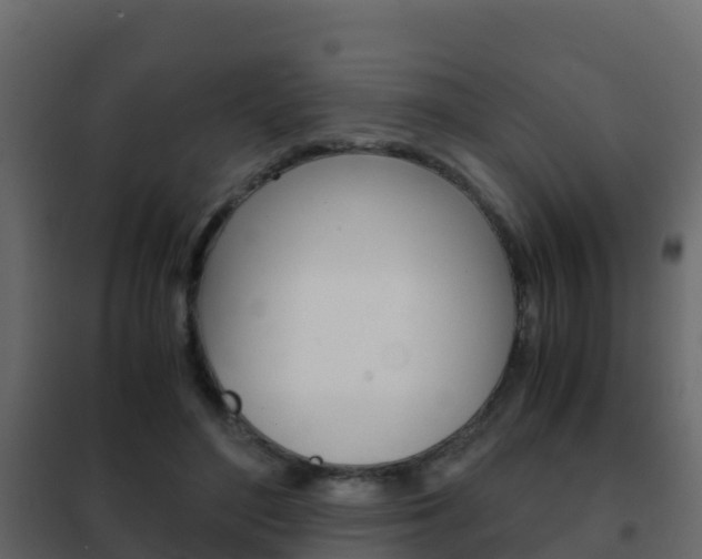 X0000102480500200808081036