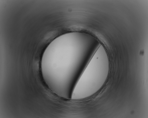 X0000102480501200808081036