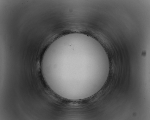 X0000102480502200808081036