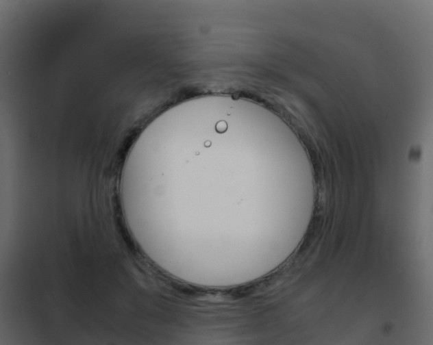 X0000102480503200808081036