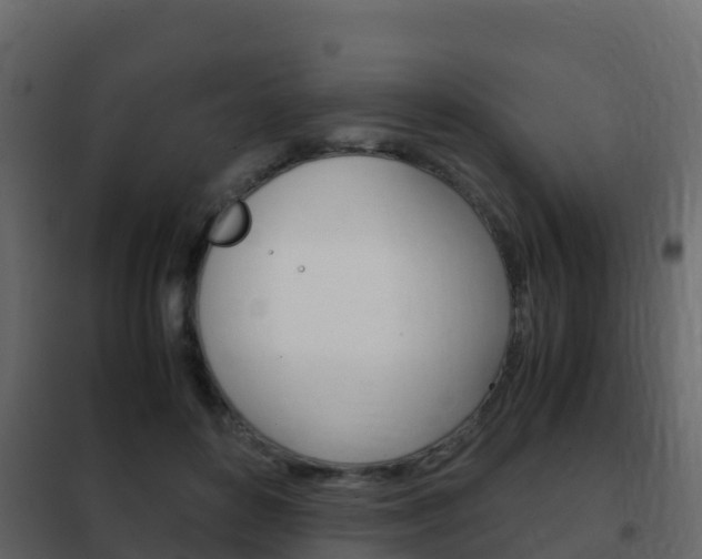 X0000102480504200808081036