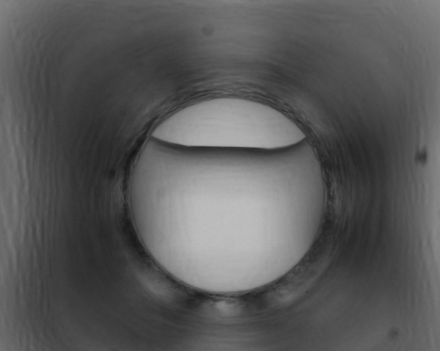 X0000102480506200808081036