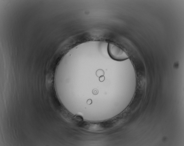 X0000102480507200808081036