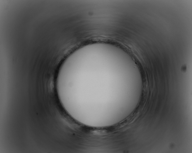 X0000102480508200808081036