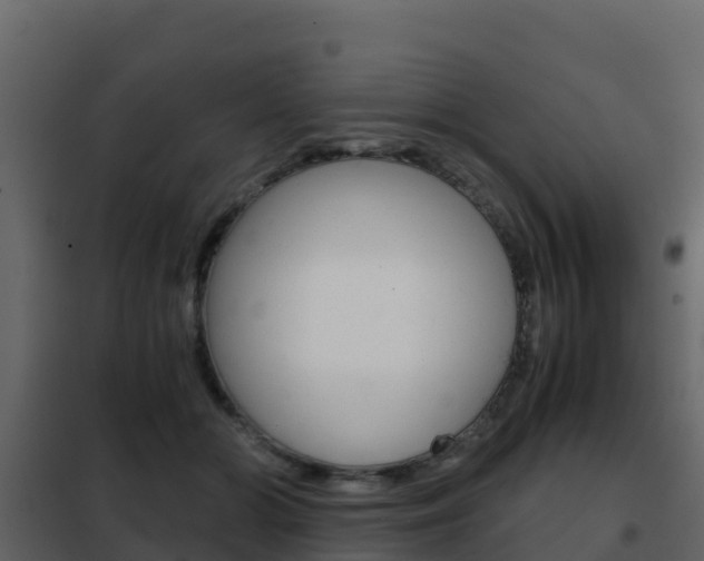 X0000102480510200808081036