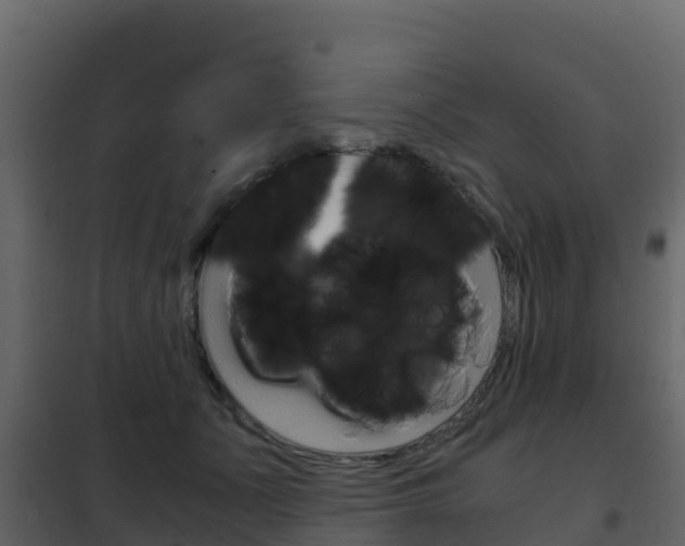 X0000102480511200808081036