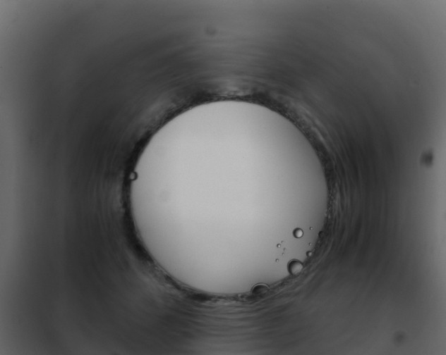 X0000102480512200808081036