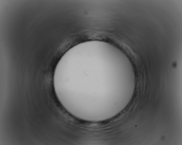 X0000102480513200808081036