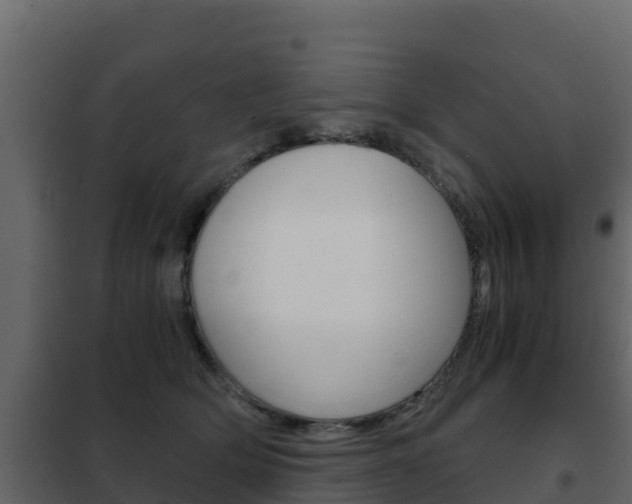 X0000102480514200808081036