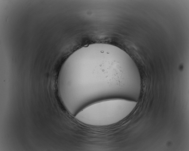 X0000102480515200808081036