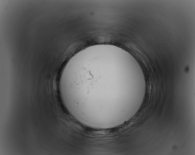 X0000102480516200808081036