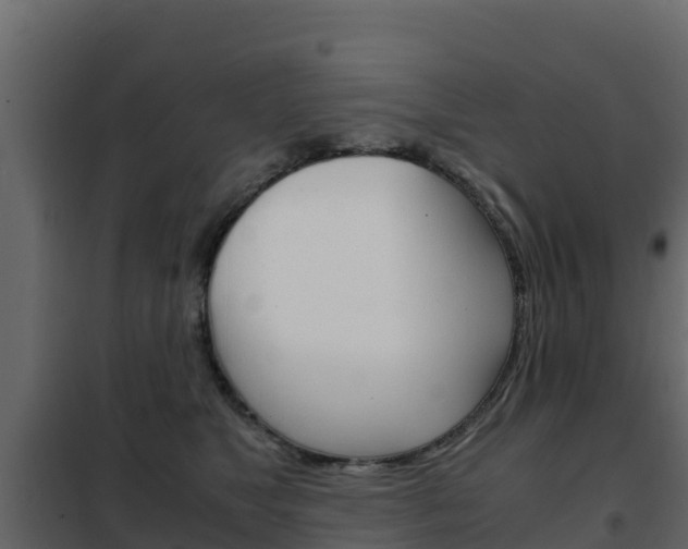 X0000102480517200808081036