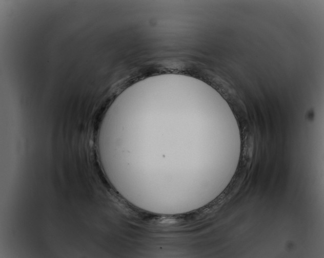 X0000102480518200808081035