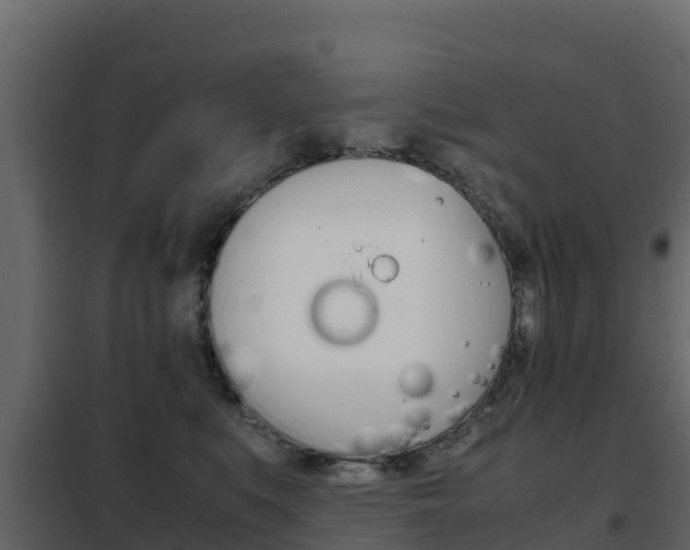 X0000102480519200808081035
