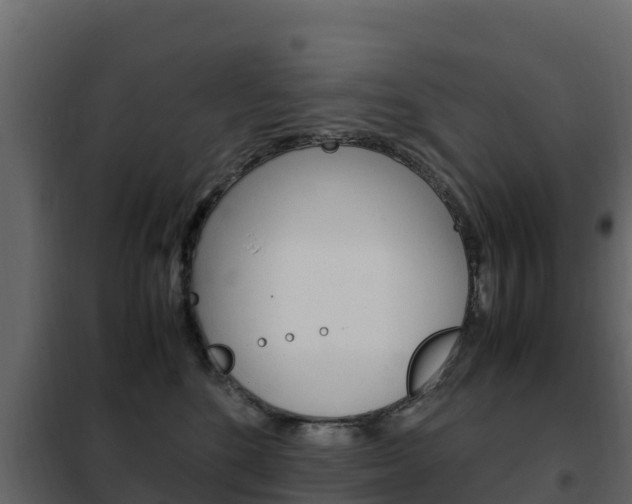 X0000102480520200808081035