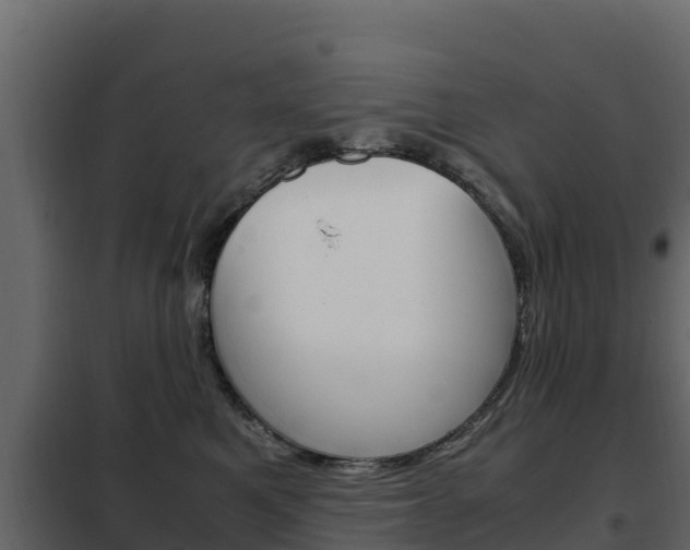 X0000102480521200808081035