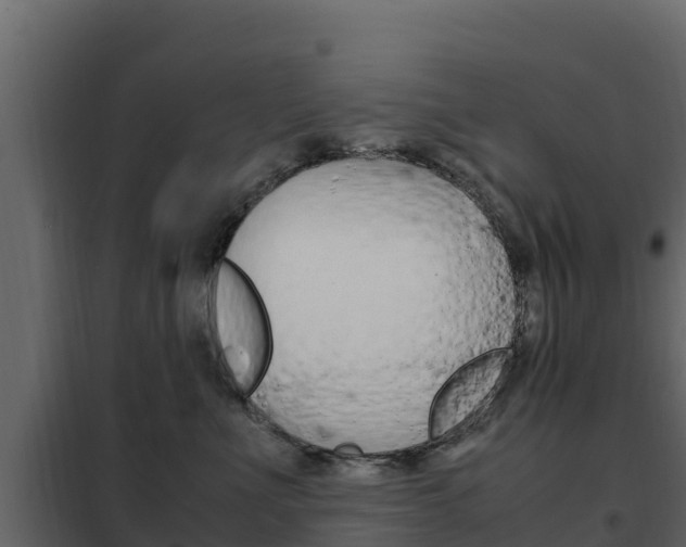 X0000102480523200808081035