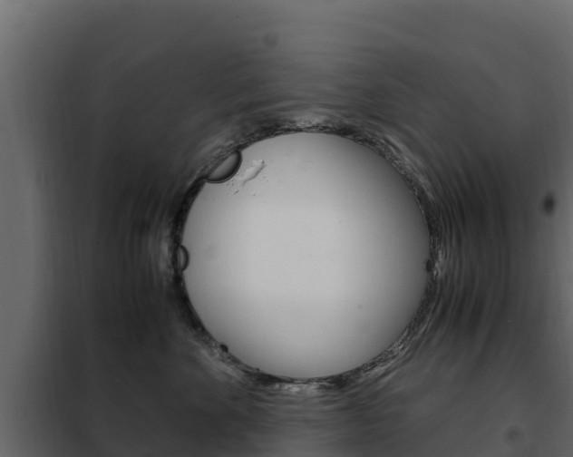 X0000102480524200808081035