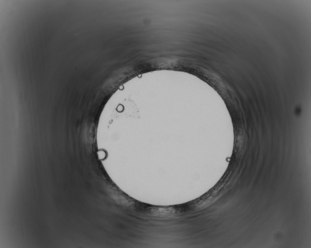 X0000102480525200808081035