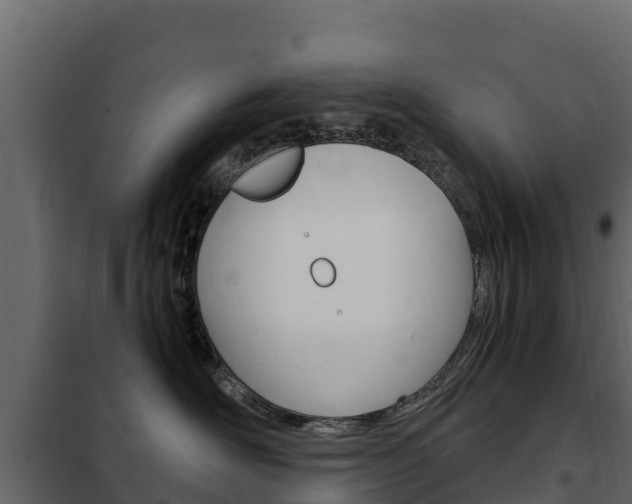 X0000102480526200808081035