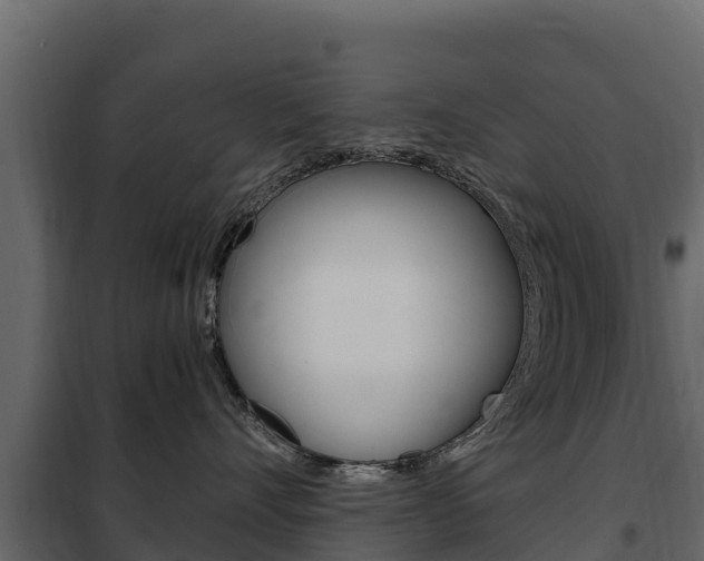 X0000102480528200808081035