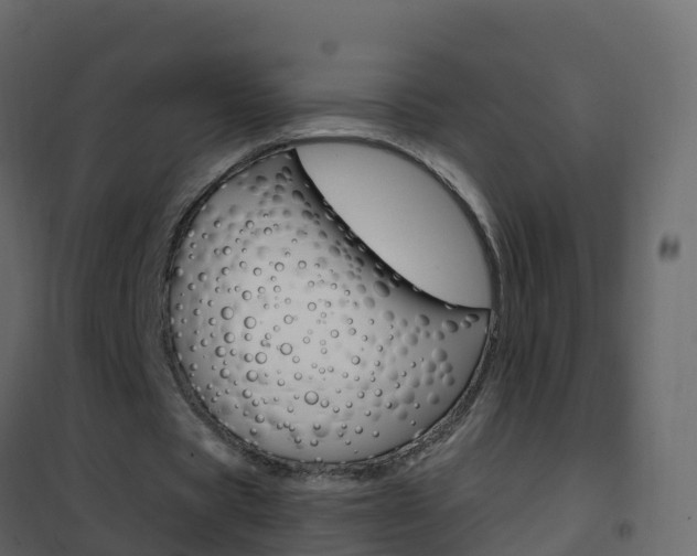 X0000102480529200808081035
