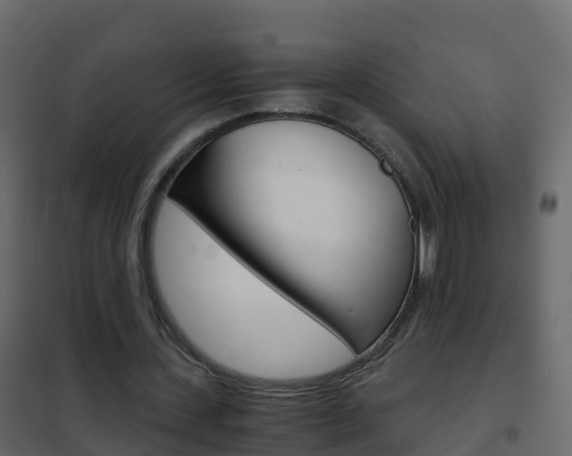 X0000102480531200808081035
